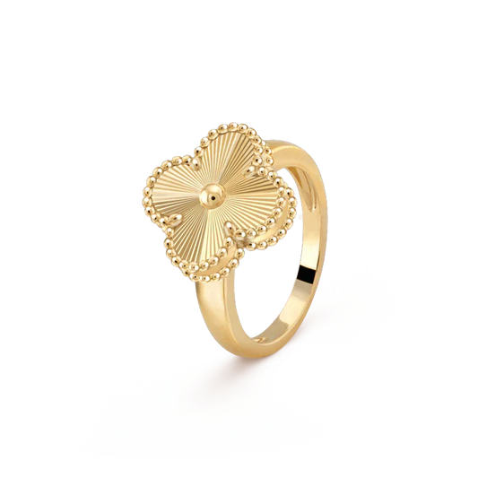 [basloveJW]KLEE-GOLDRING